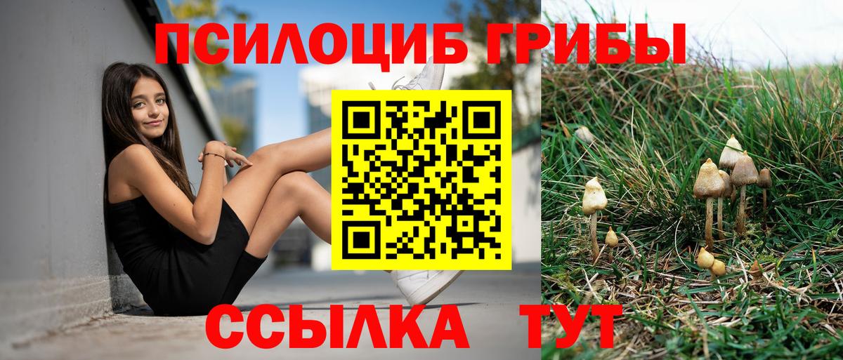 Псилоцибиновые грибы Psilocybine cubensis Туапсе