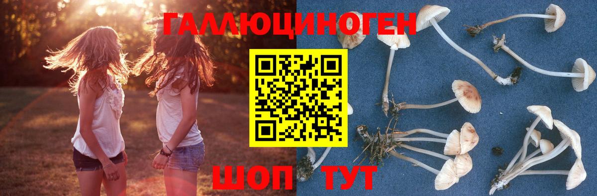 Псилоцибиновые грибы Psilocybine cubensis  Псилоцибиновые грибы Cubensis  Вход с VPN  Туапсе 
